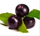 Bayas de Acai, ingrediente activo de Silvets.