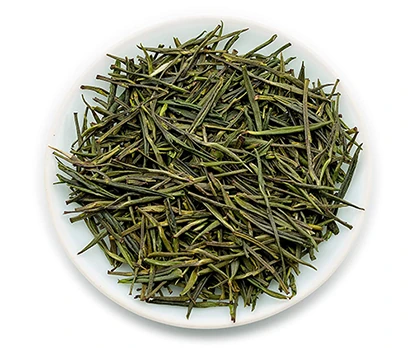 Ilustración de la hoja de té chino, un ingrediente de Restilen